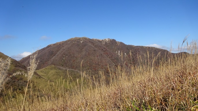 s29.jpg