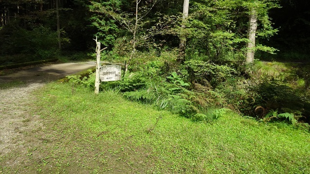s32.jpg