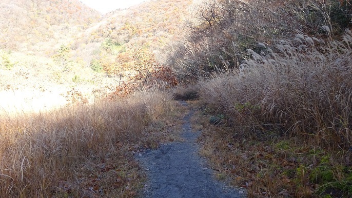 s32.jpg