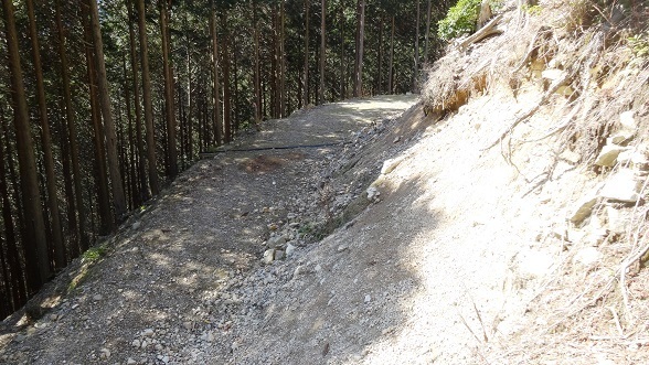 s33.jpg