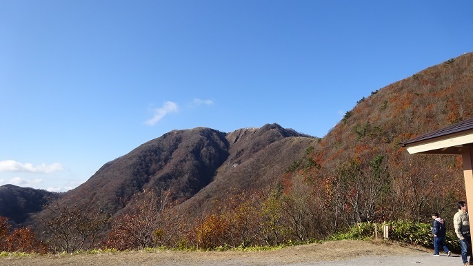 s39.jpg