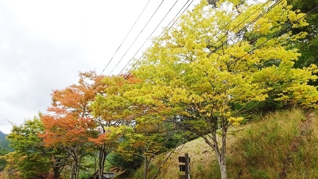 s7.jpg