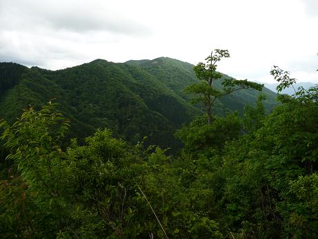sanan29.jpg