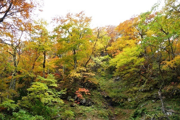 se12.jpg