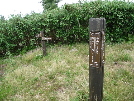 se21.jpg