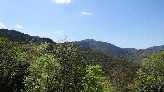ss14.jpg