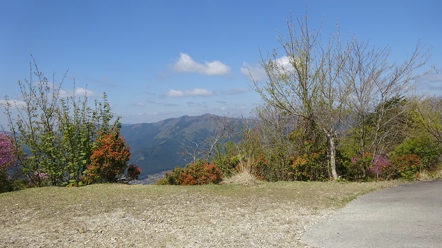 ss2.jpg