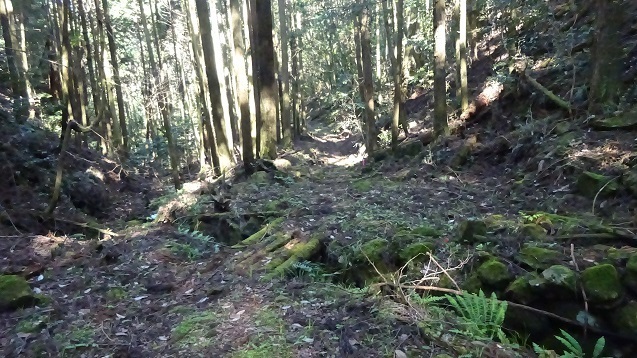 ss23.jpg