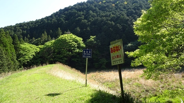 ss25.jpg