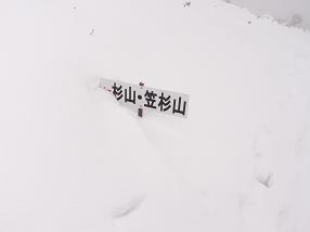 sugitani19.jpg