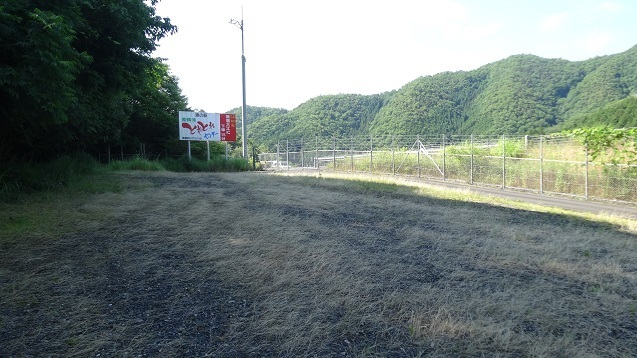 t1.jpg