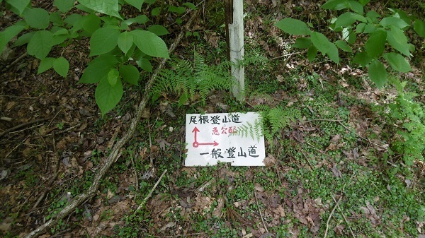 t16.jpg