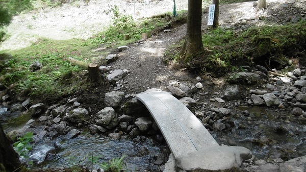 t39.jpg