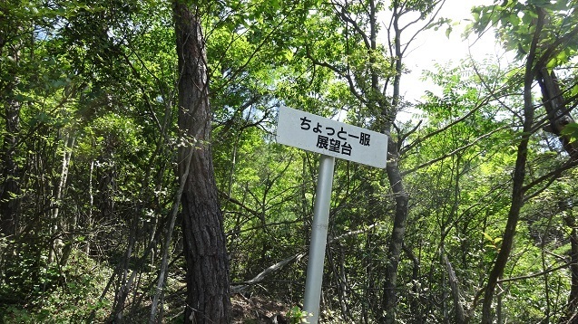 t8.jpg