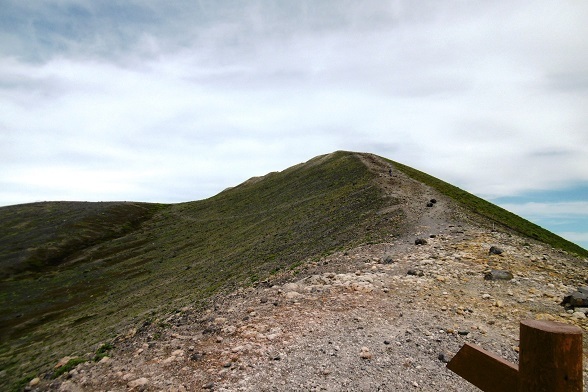 tr11.jpg
