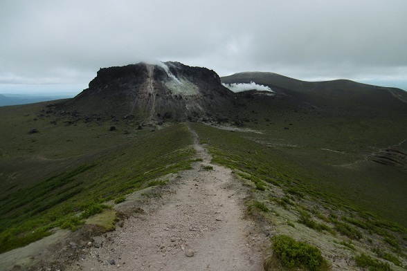 tr23.jpg