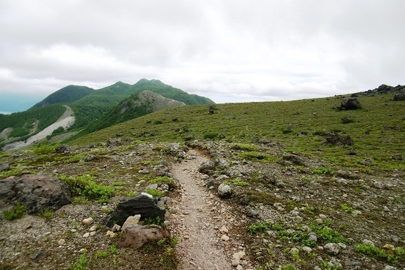 tr25.jpg