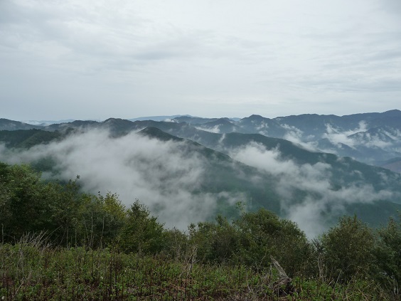 usi33.jpg