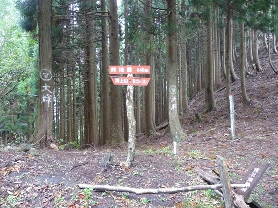 usi37.jpg