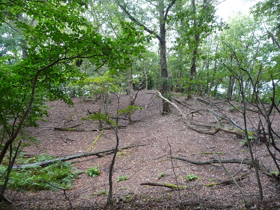 usi41.jpg
