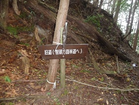 usi5.jpg