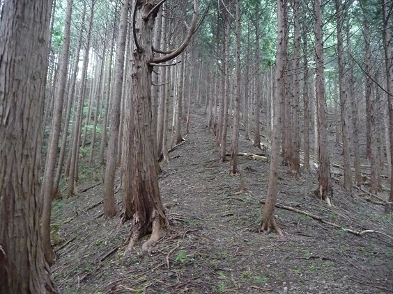 usi7.jpg