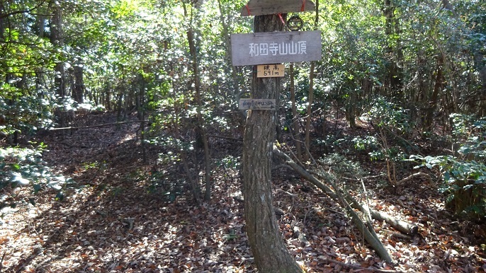 w19.jpg