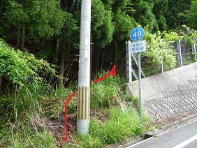 wakasu1.jpg