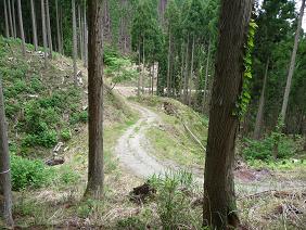 wakasu25.jpg