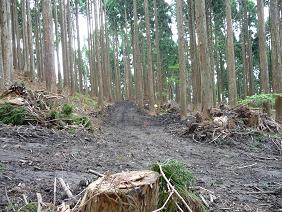 wakasu27.jpg