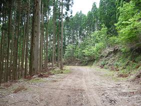 wakasu28.jpg