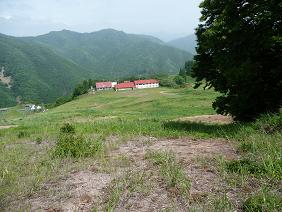 wakasu32.jpg