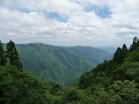 wakasu9.jpg