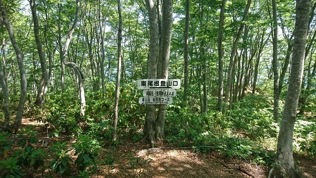 y19.jpg
